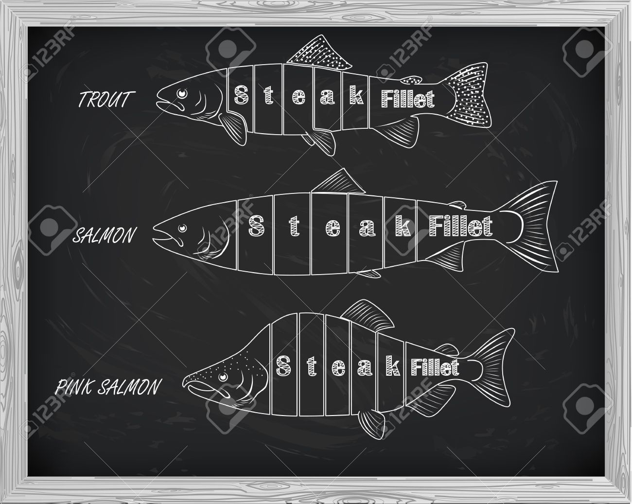 サーモン トラウト サーモン ピンクの綺麗な模様 黒の背景に白の描画と切断方式のイラスト素材 ベクタ Image