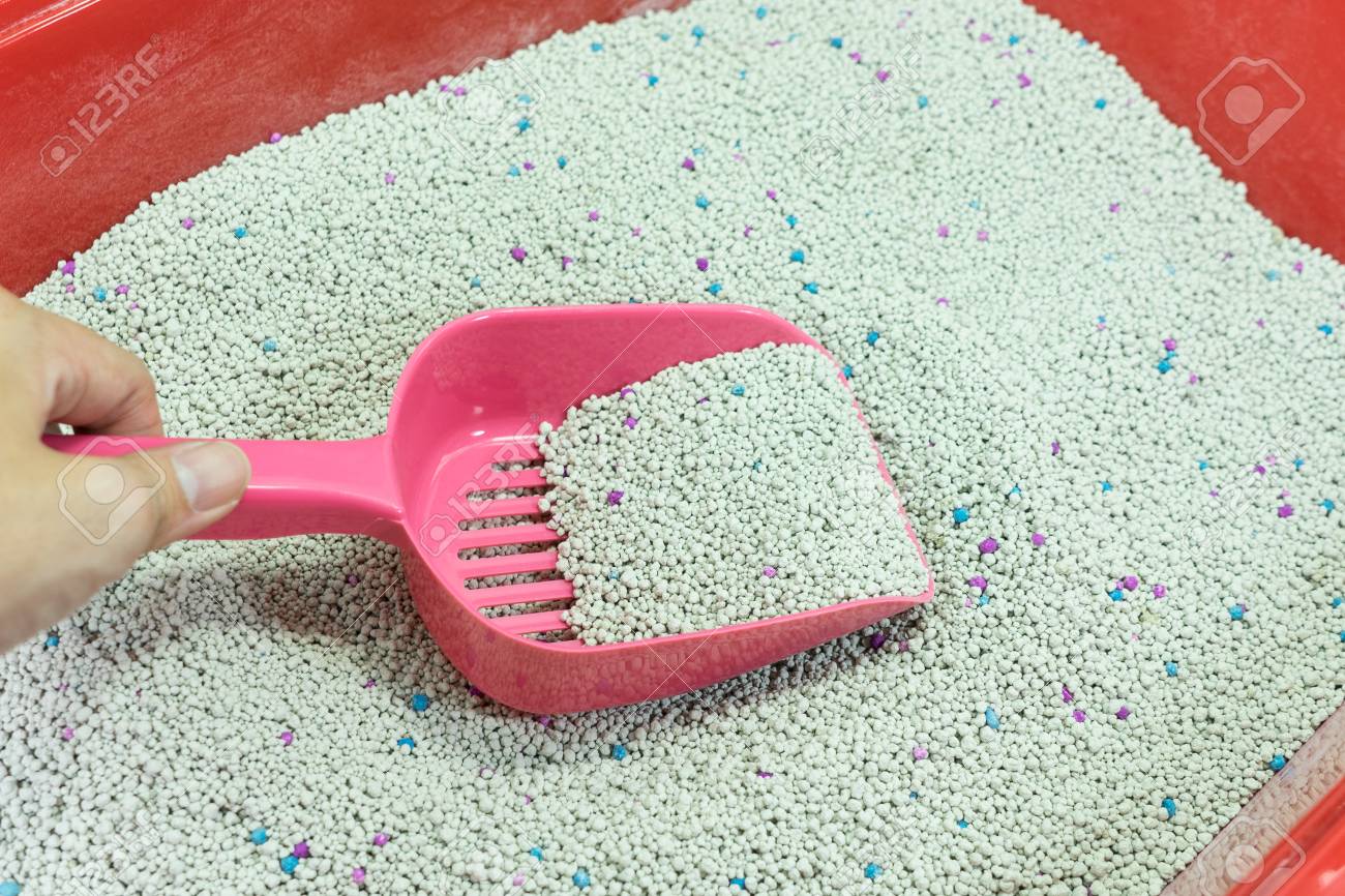 cat litter accessories