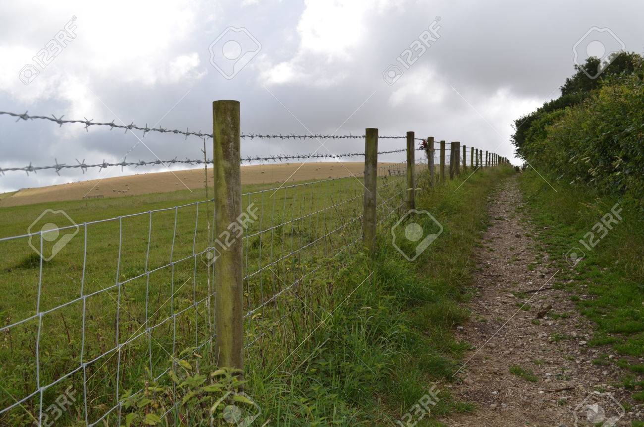 英語畑に沿って有刺鉄線のフェンス の写真素材 画像素材 Image 英語畑に沿って有刺鉄線のフェンス の写真素材 画像素材 Image