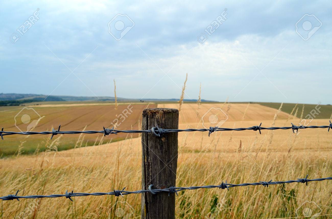 英語畑に沿って有刺鉄線のフェンス の写真素材 画像素材 Image 英語畑に沿って有刺鉄線のフェンス の写真素材 画像素材 Image