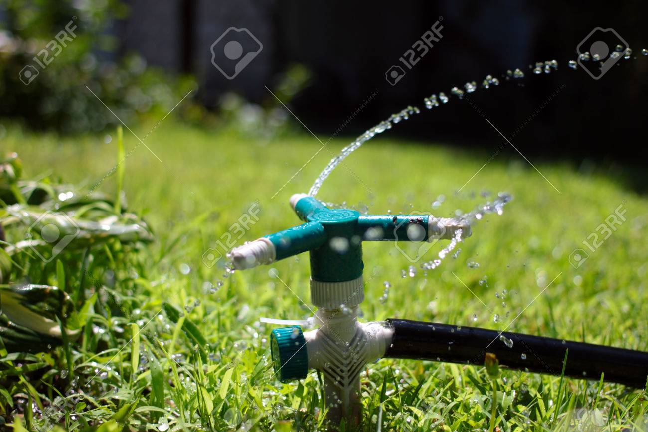 water spray for watering the lawn with a special tool stock photo image lawn spray