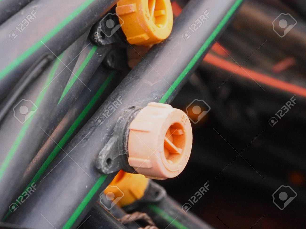 etiam-dictum-ipsum-a-felis