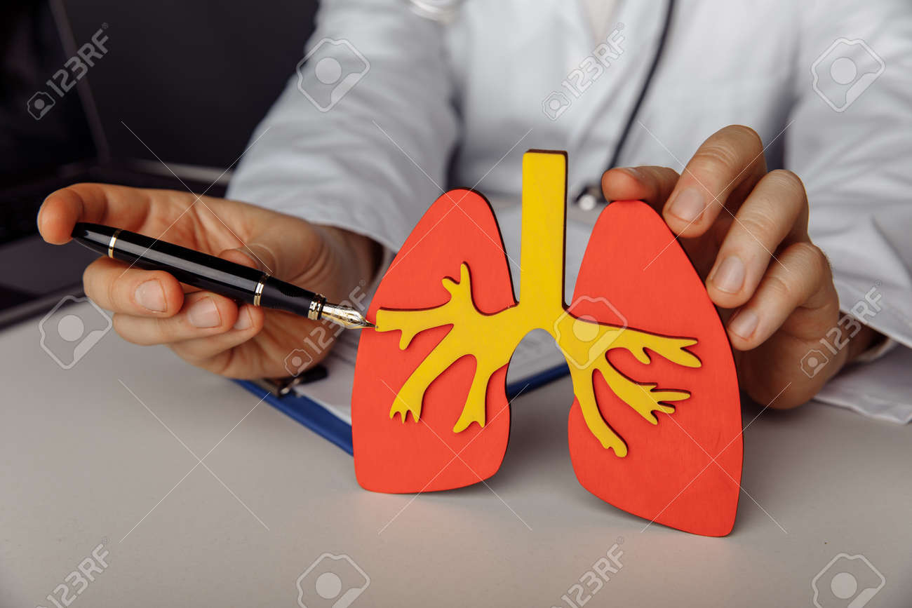 Doctor showing a wooden model of lung. Healthcare and treatment concept - 169819562 Doctor showing a wooden model of lung. Healthcare and treatment concept - 169819562