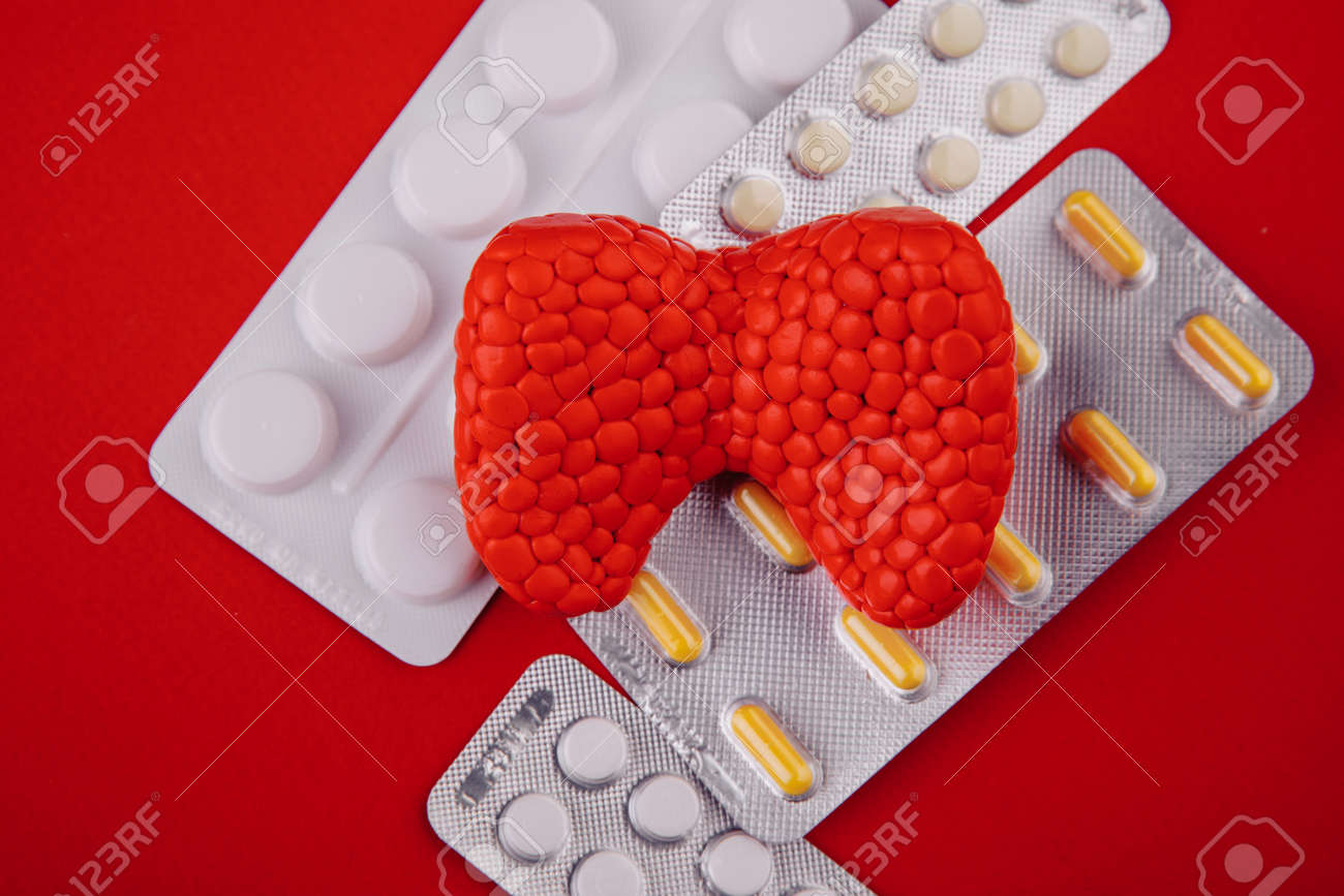 Plastic model of healthy thyroid and pills on red background close-up. Top view - 169819668 Plastic model of healthy thyroid and pills on red background close-up. Top view - 169819668