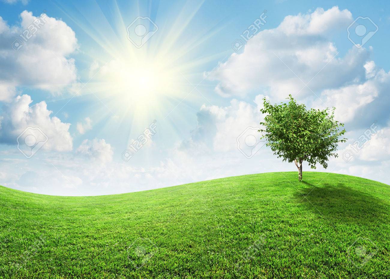 Summer Landscape On A Bright Sunny Day Stock Photo Picture And Royalty Free Image Image 31052773