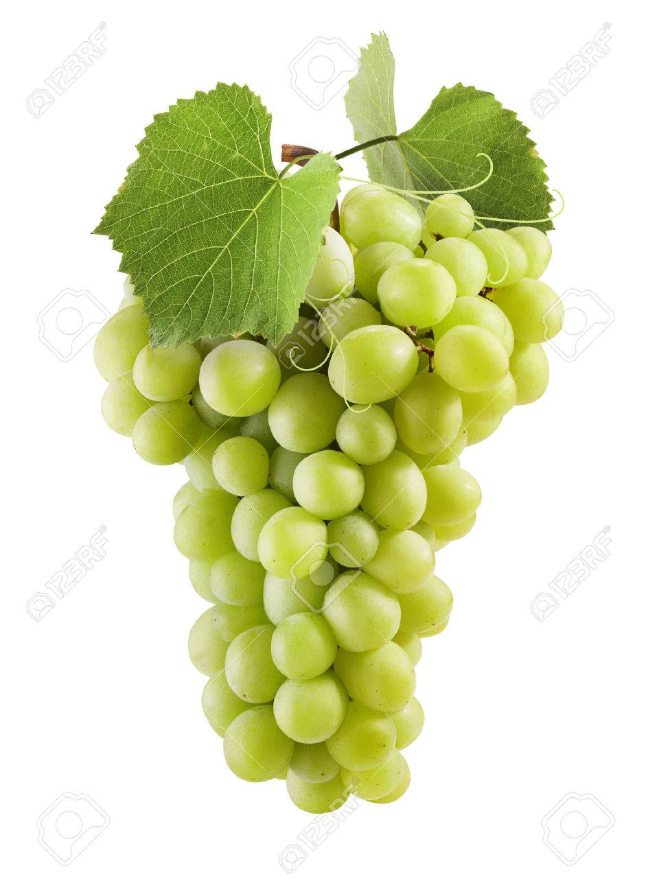 fresh green grapes with leaves isolated on white stock photo