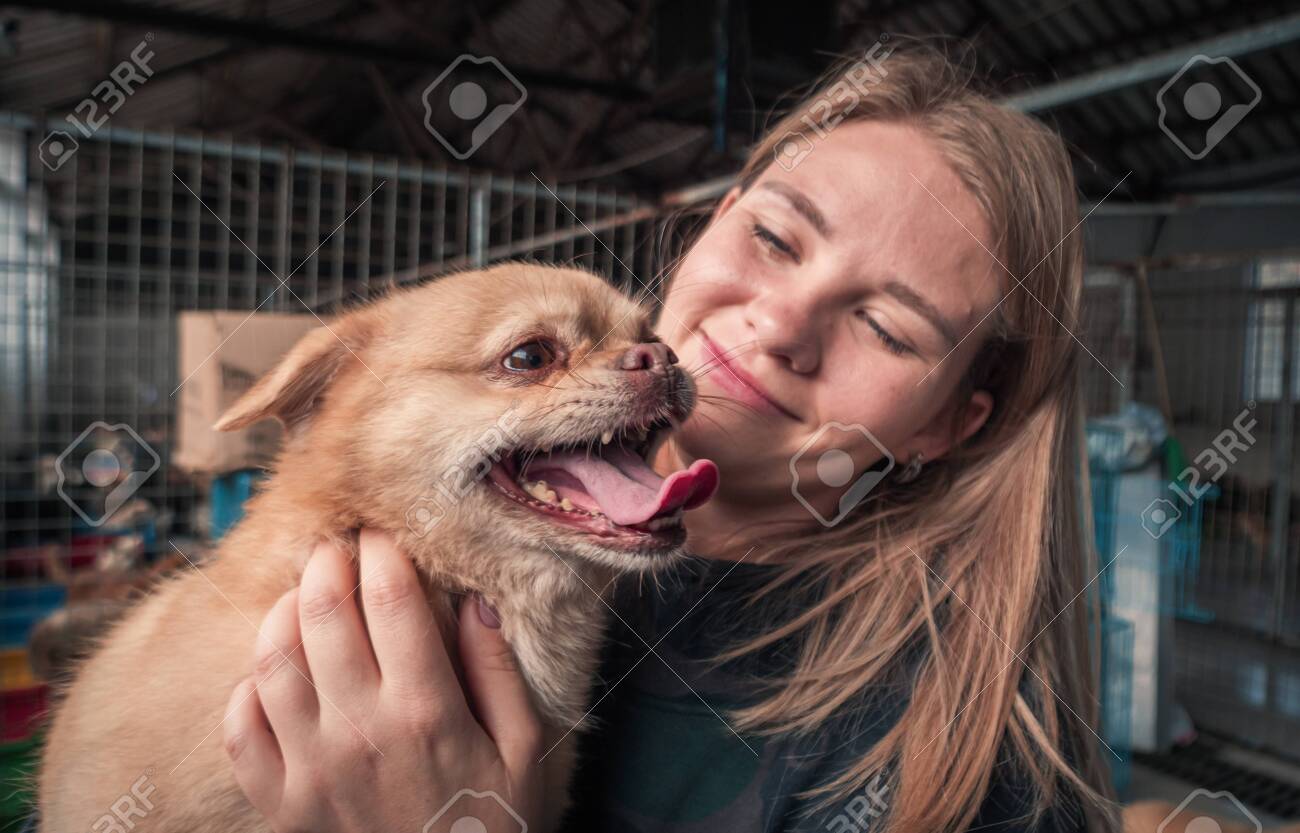 Close-up of female volunteer holds on hands dog in shelter. - 142934813 Close-up of female volunteer holds on hands dog in shelter. - 142934813