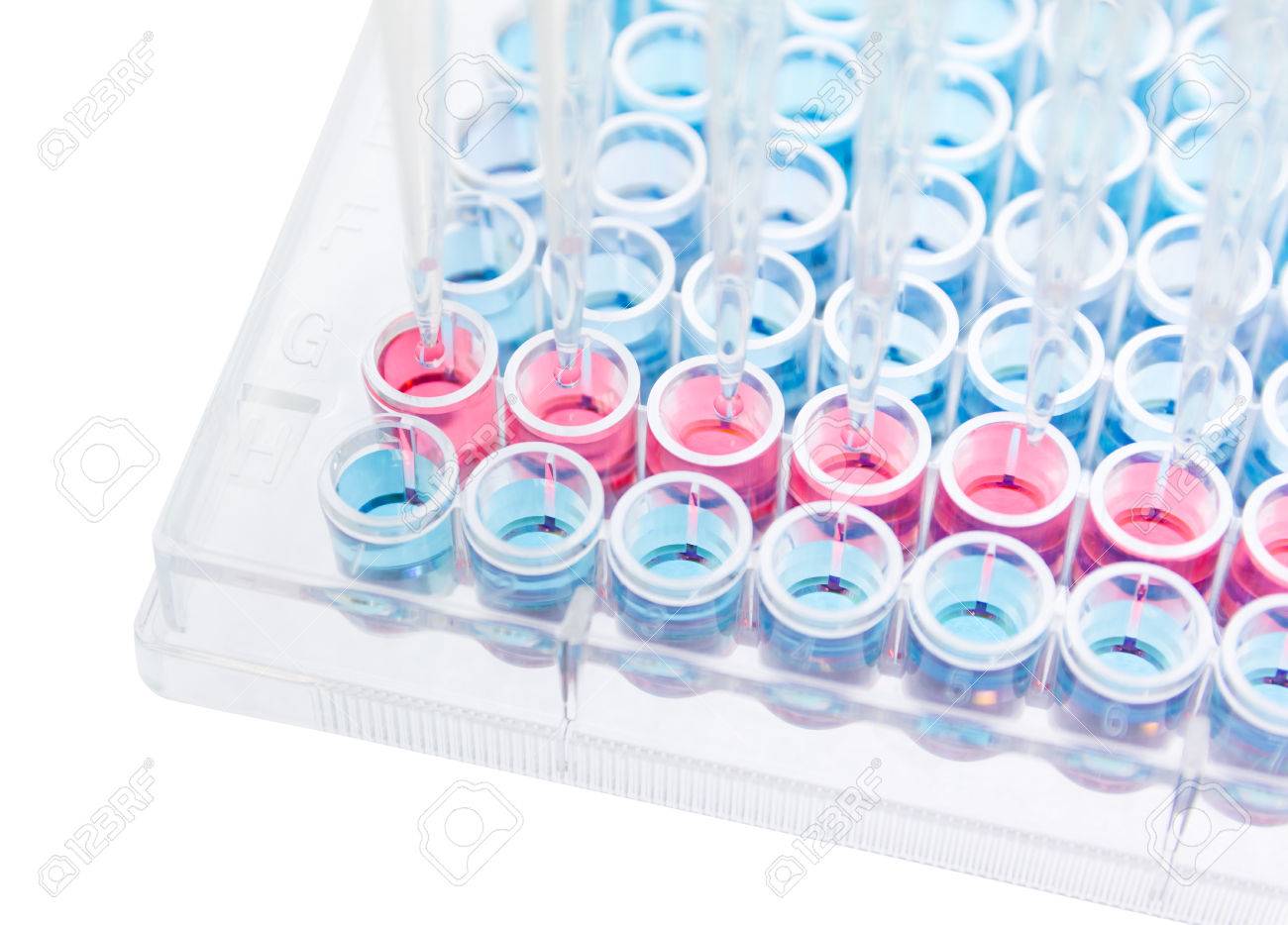 pipette test sample research test lab elisa ninety six well plate elisa lab