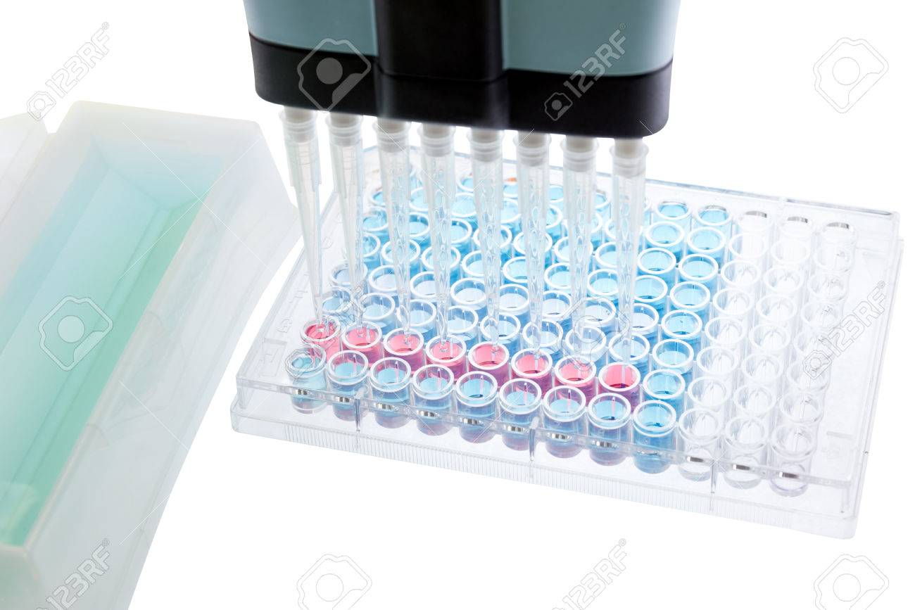 pipette test sample research test lab elisa ninety six well plate elisa lab