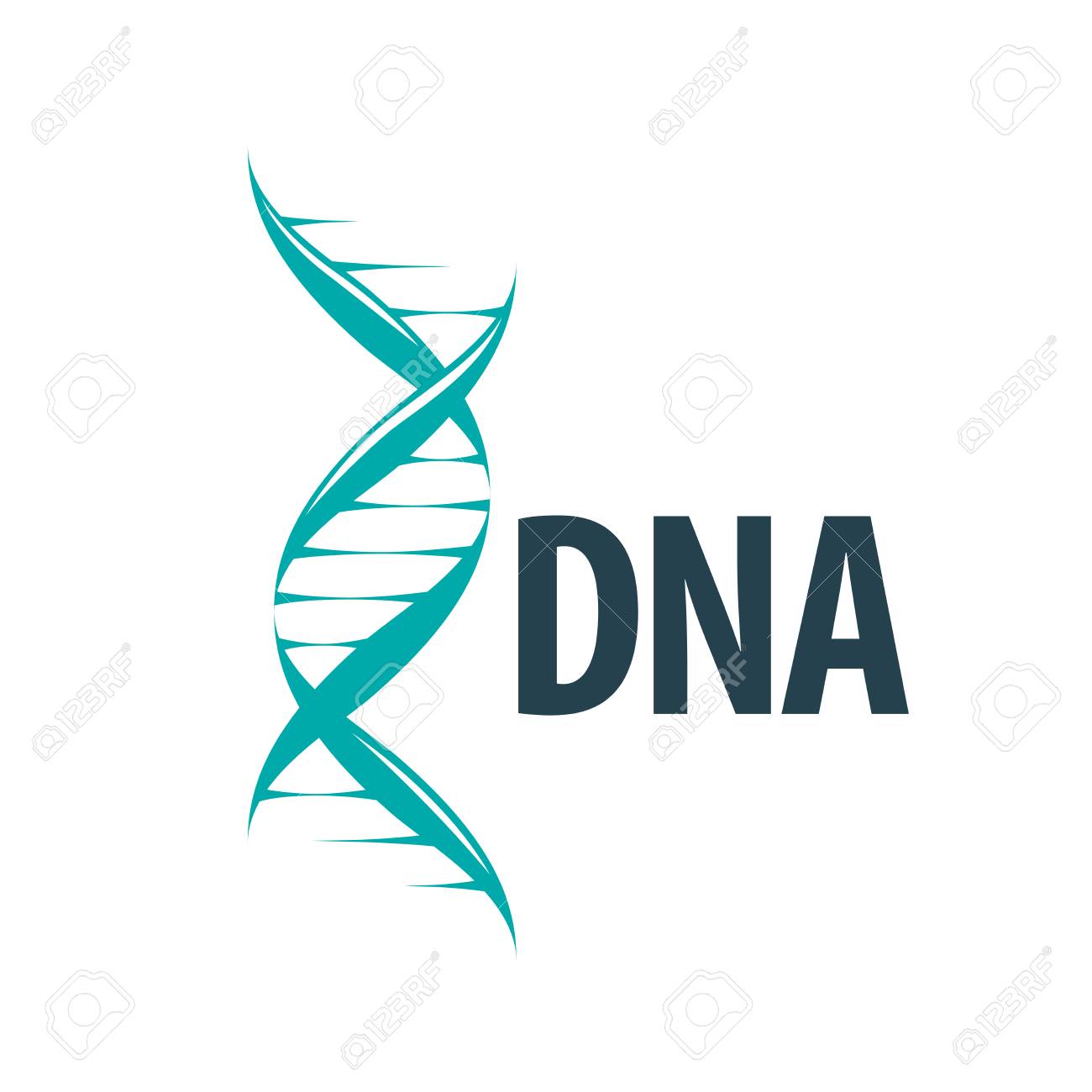 Vector Logo Dna Royalty Free SVG, Cliparts, Vectors, And Stock  Illustration. Image 73082314.