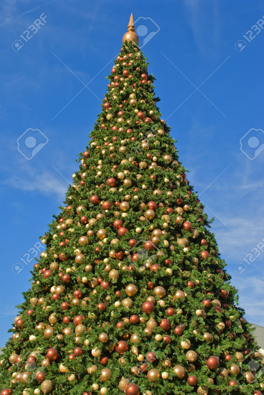 Albero Di Natale Grande.Immagini Stock Un Grande Albero Di Natale E Cielo Image 2110918