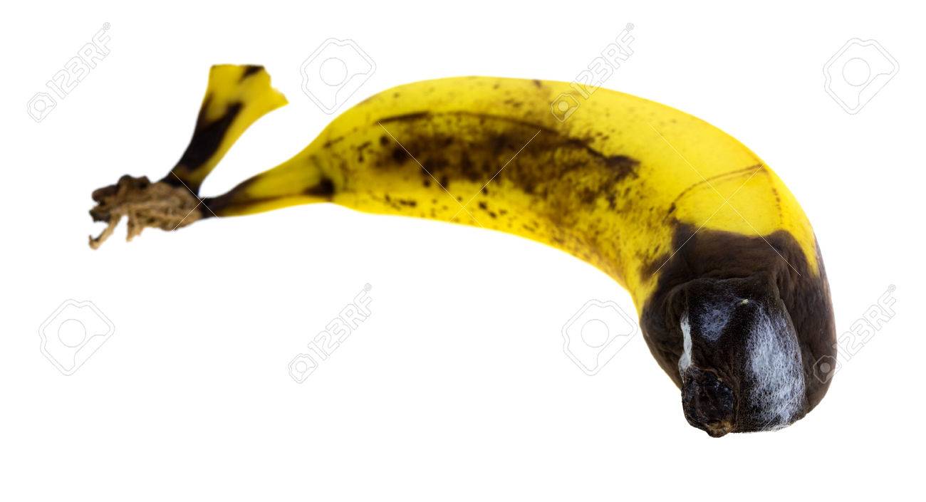 白い背景に分離した糸状菌の腐りかけバナナ の写真素材 画像素材 Image