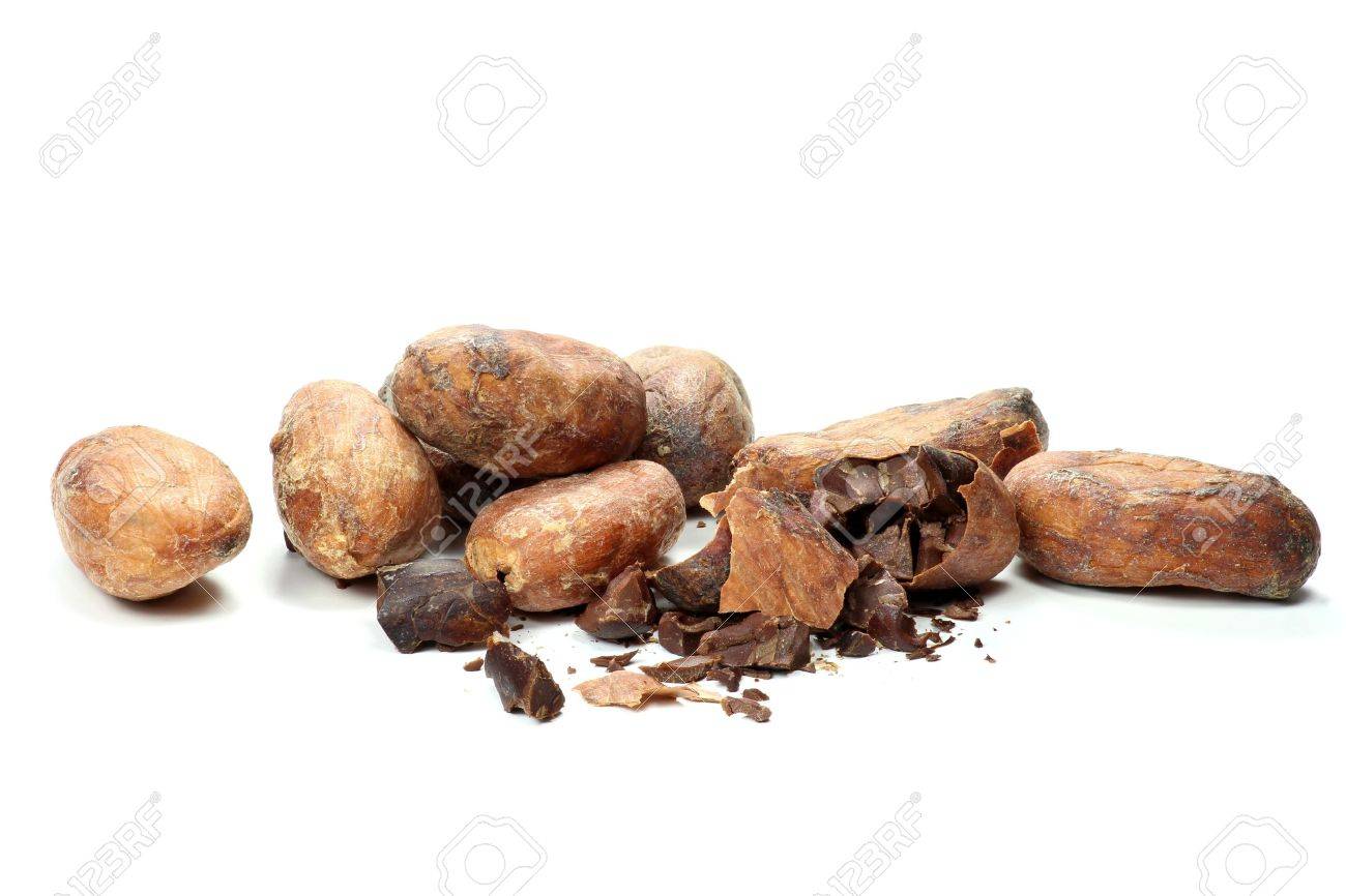 roasted cocoa beans isolated on white background - 51786627 roasted cocoa beans isolated on white background - 51786627