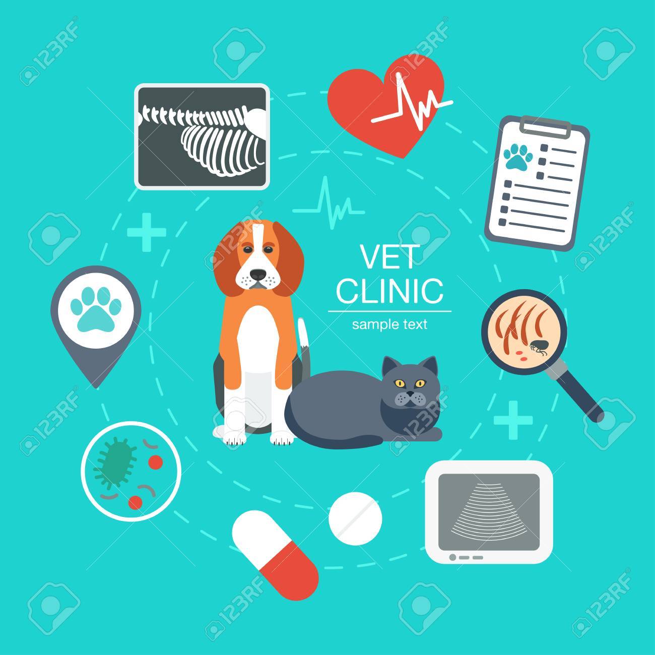 banner veterinary clinic