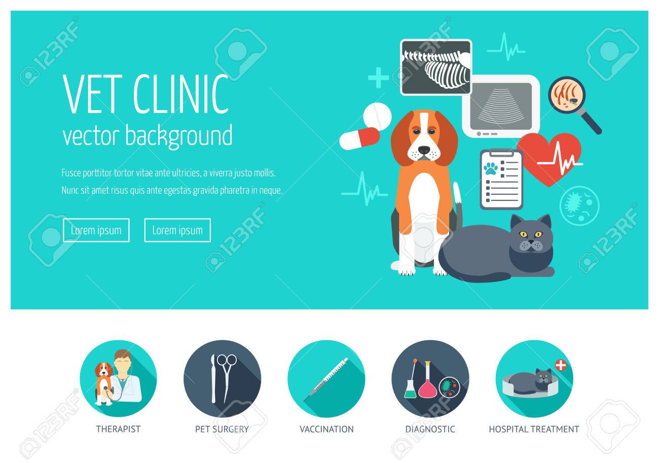 vet clinic web design concept for website and landing page web