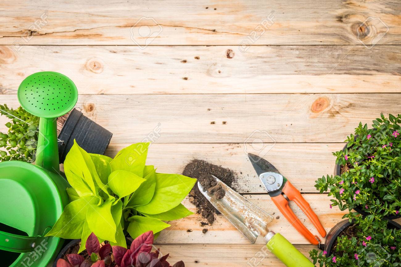ガーデニング ツール 水まき缶 種子 植物 ビンテージの木製テーブルの上の土壌 フリー テキスト スペースとガーデンのコンセプトの背景に春します の写真素材 画像素材 Image