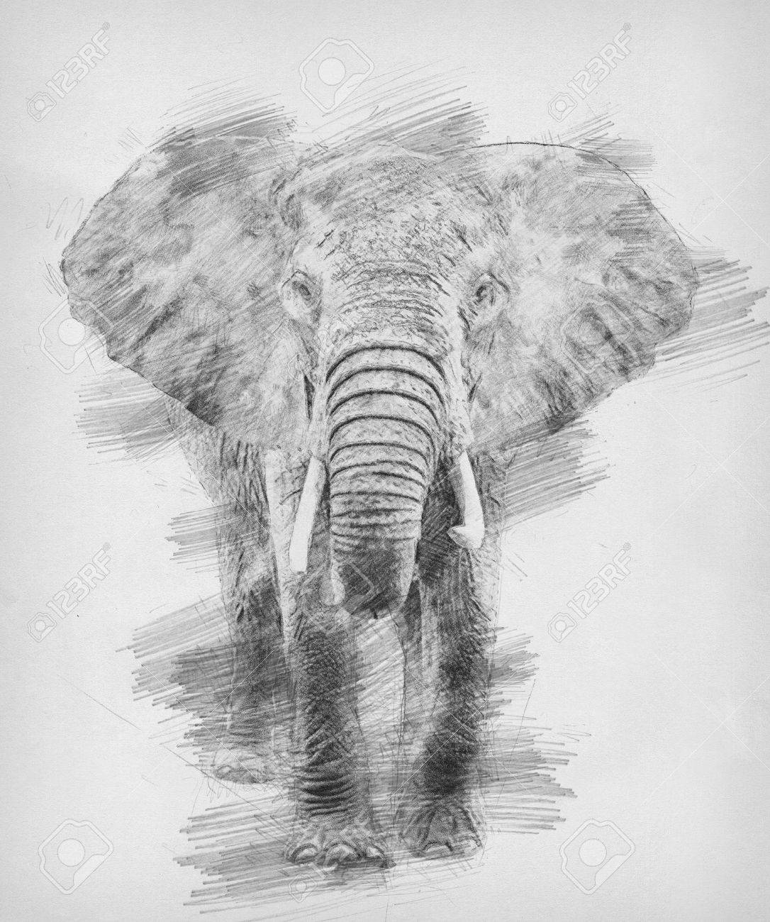 Black and white sketch with pencil stock photo 82739168