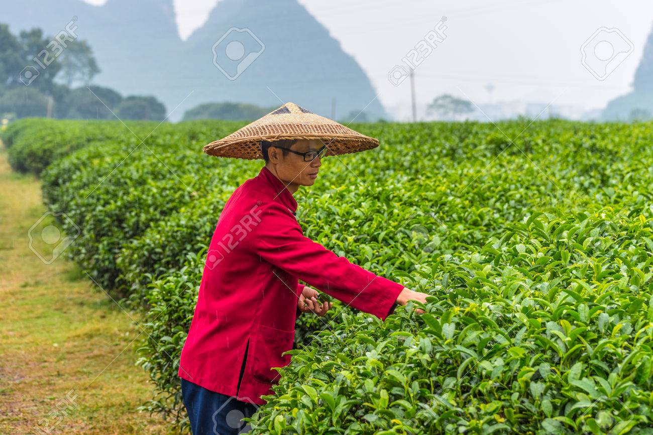 chinese farmer hat