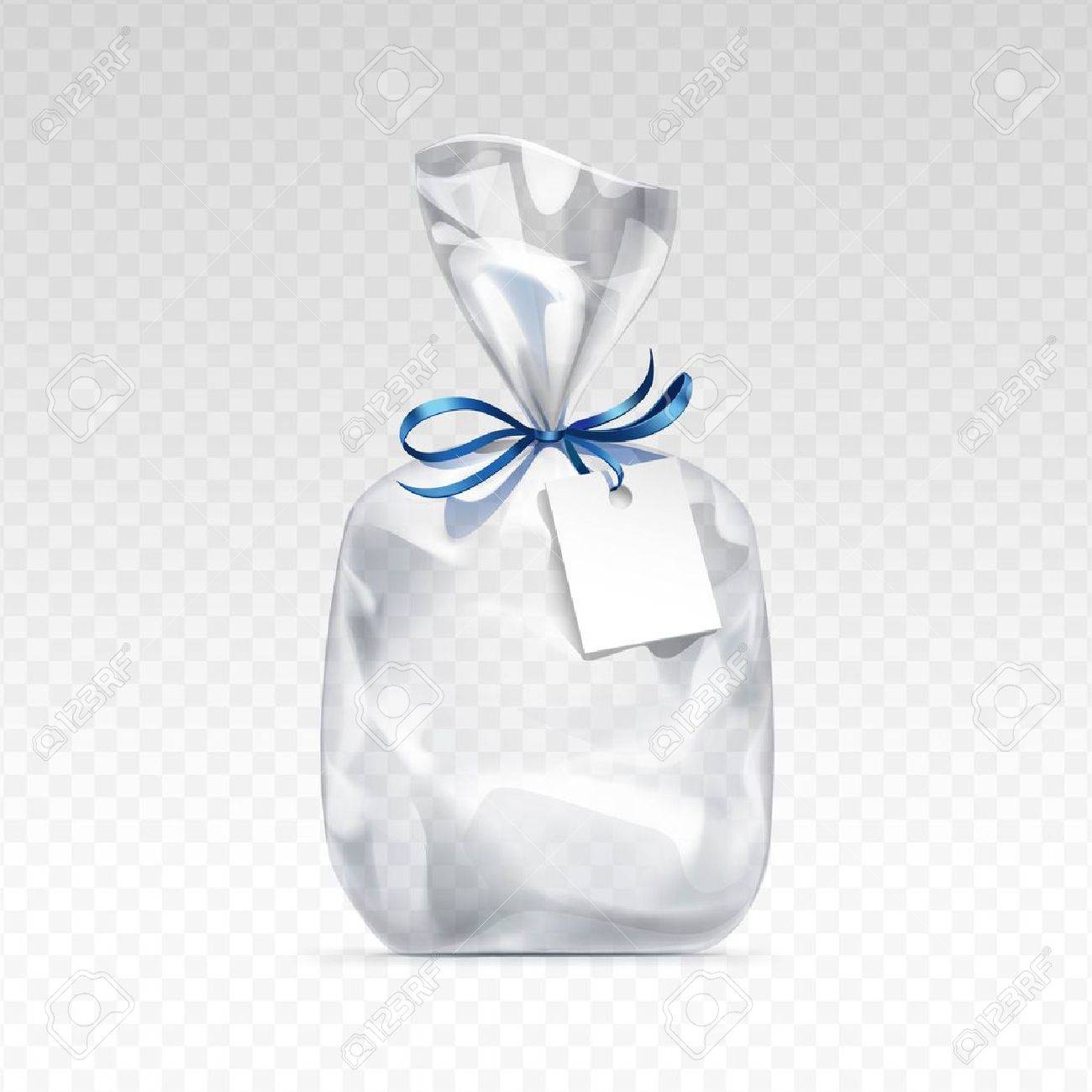 Sac 2025 transparent brillant