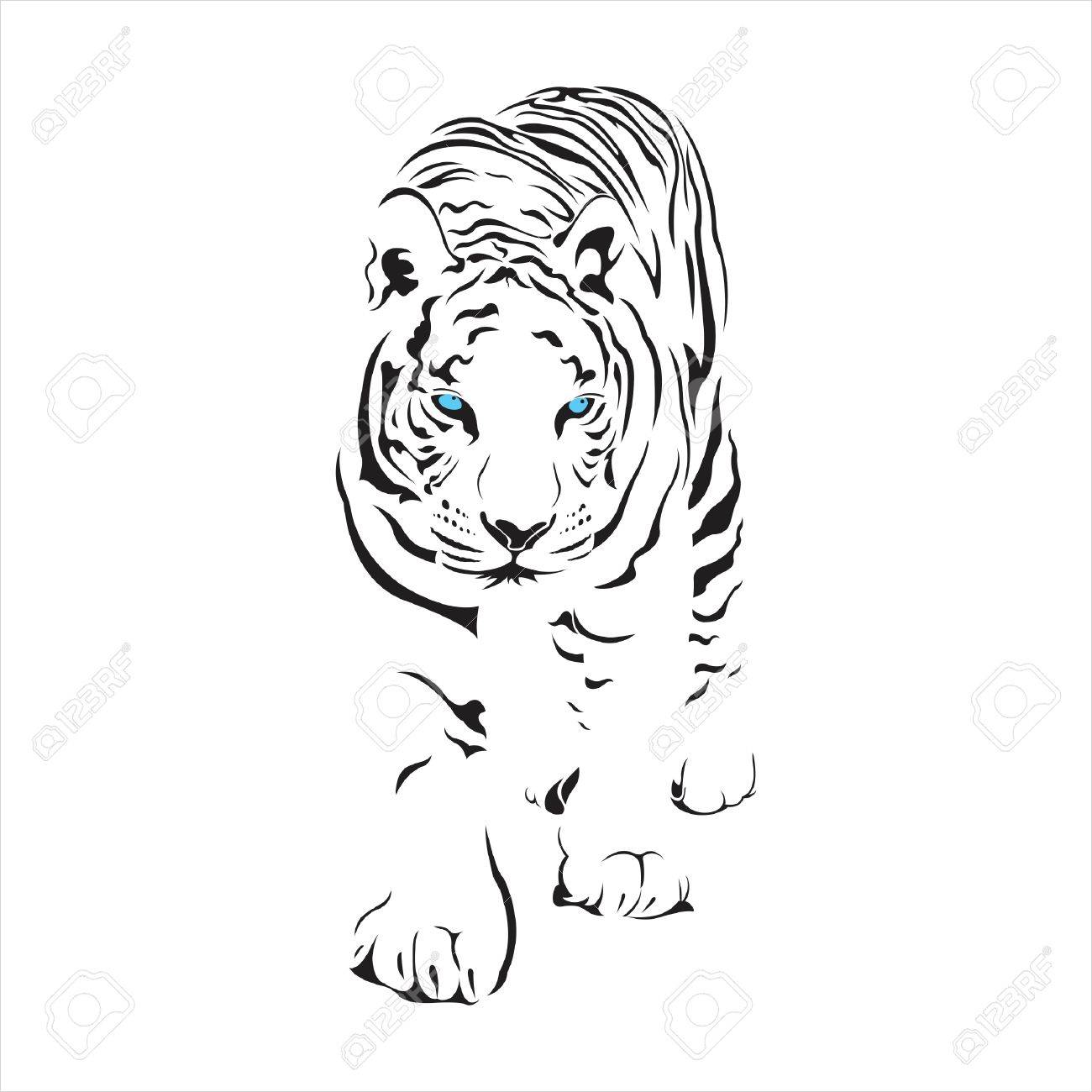 Tigre Silhueta Detalhes Leao Cacador Mamifero Listra Tatuagem Preto Branco Olhos Azuis Ilustraciones Vectoriales Clip Art Vectorizado Libre De Derechos Image 80172996