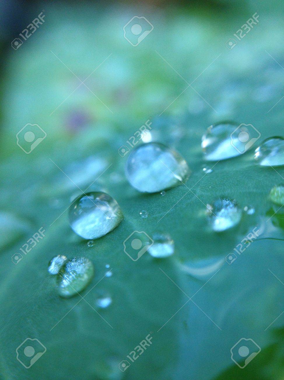 雨のしずくが落ちる の写真素材 画像素材 Image 雨のしずくが落ちる の写真素材 画像素材 Image