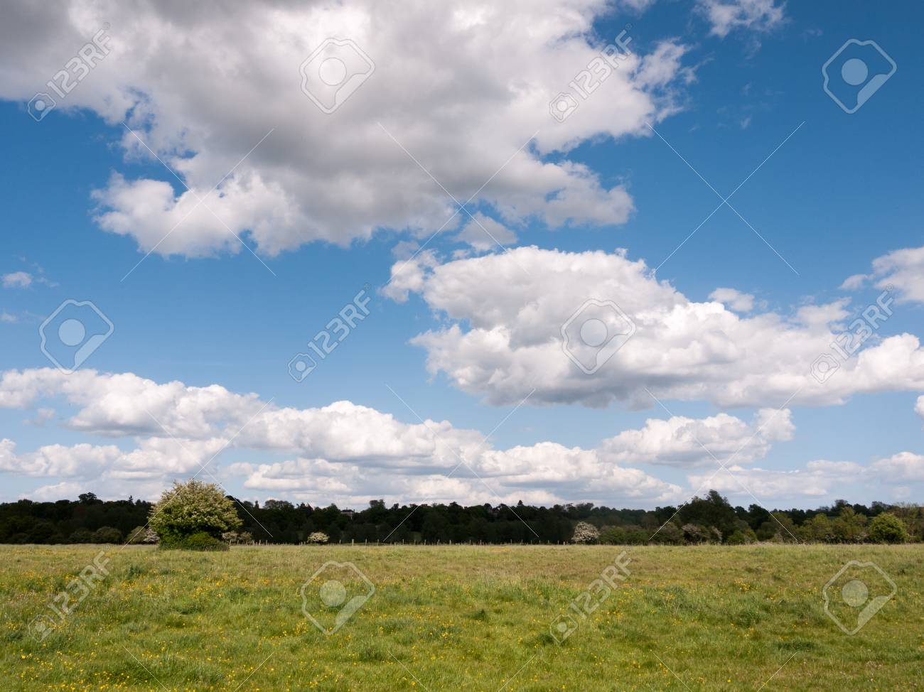 A Bright And Gorgeous Country Scene Outside In The Uk Essex Of England With  No People And Peace Summer Afternoon Stock Photo, Picture and Royalty Free  Image. Image 78545701., image size:1300x974
