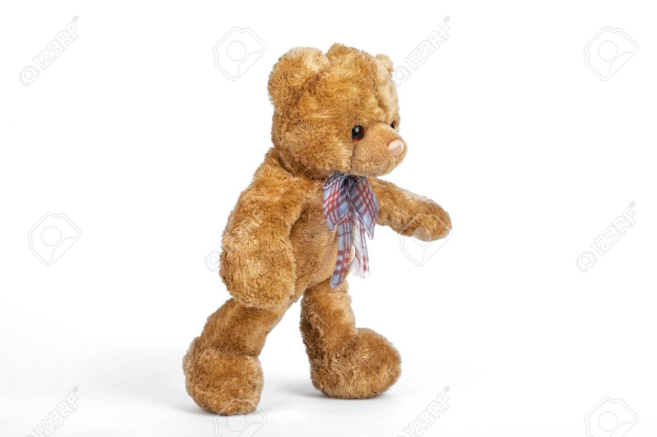 walking teddy bear