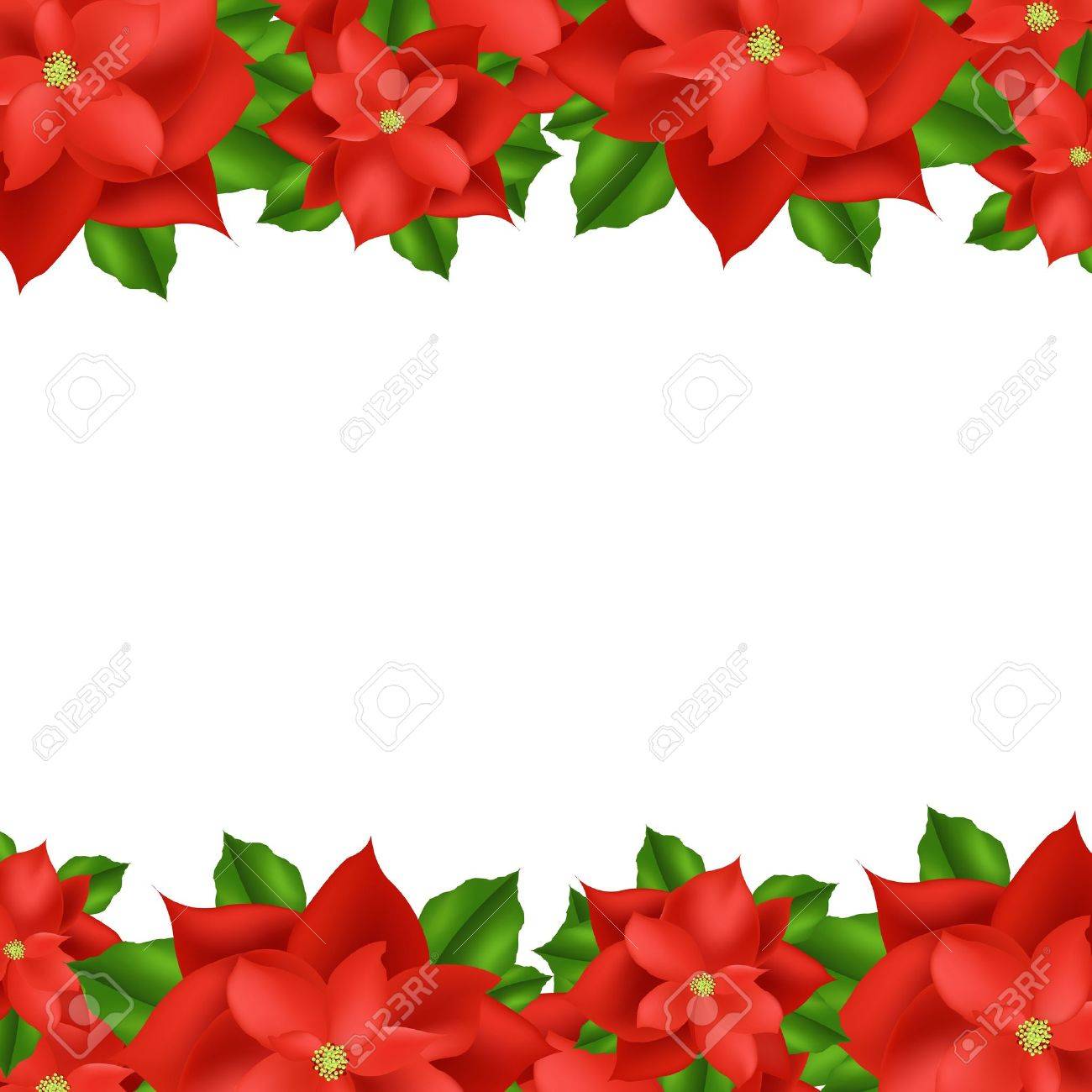 2 red poinsettia border isolated on white background vector poinsettia border
