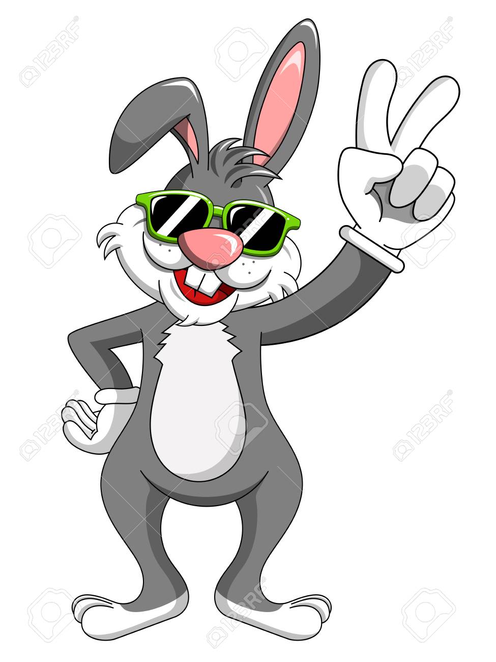 recommended cat food brands