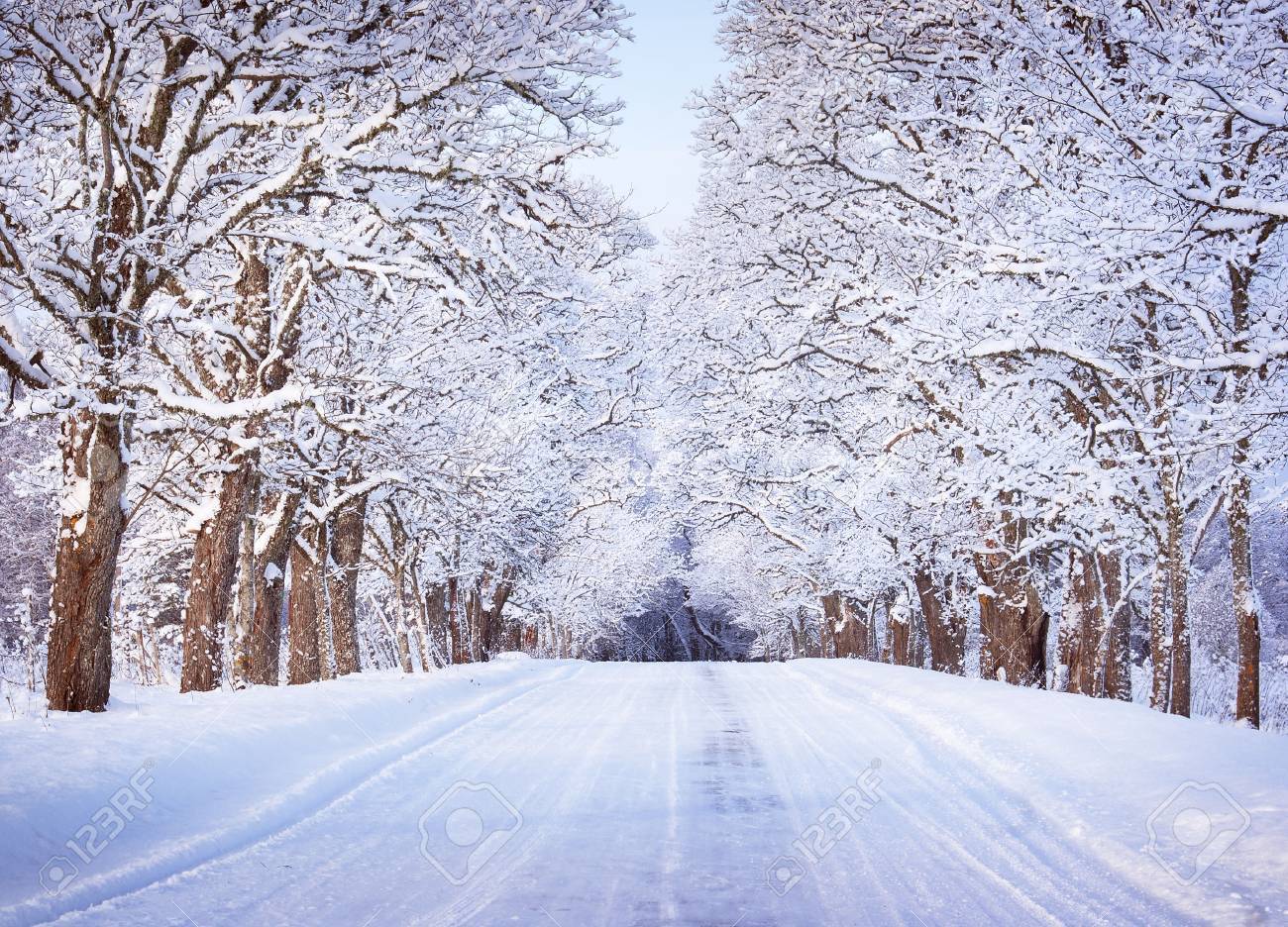 雪の朝の路地 の写真素材 画像素材 Image
