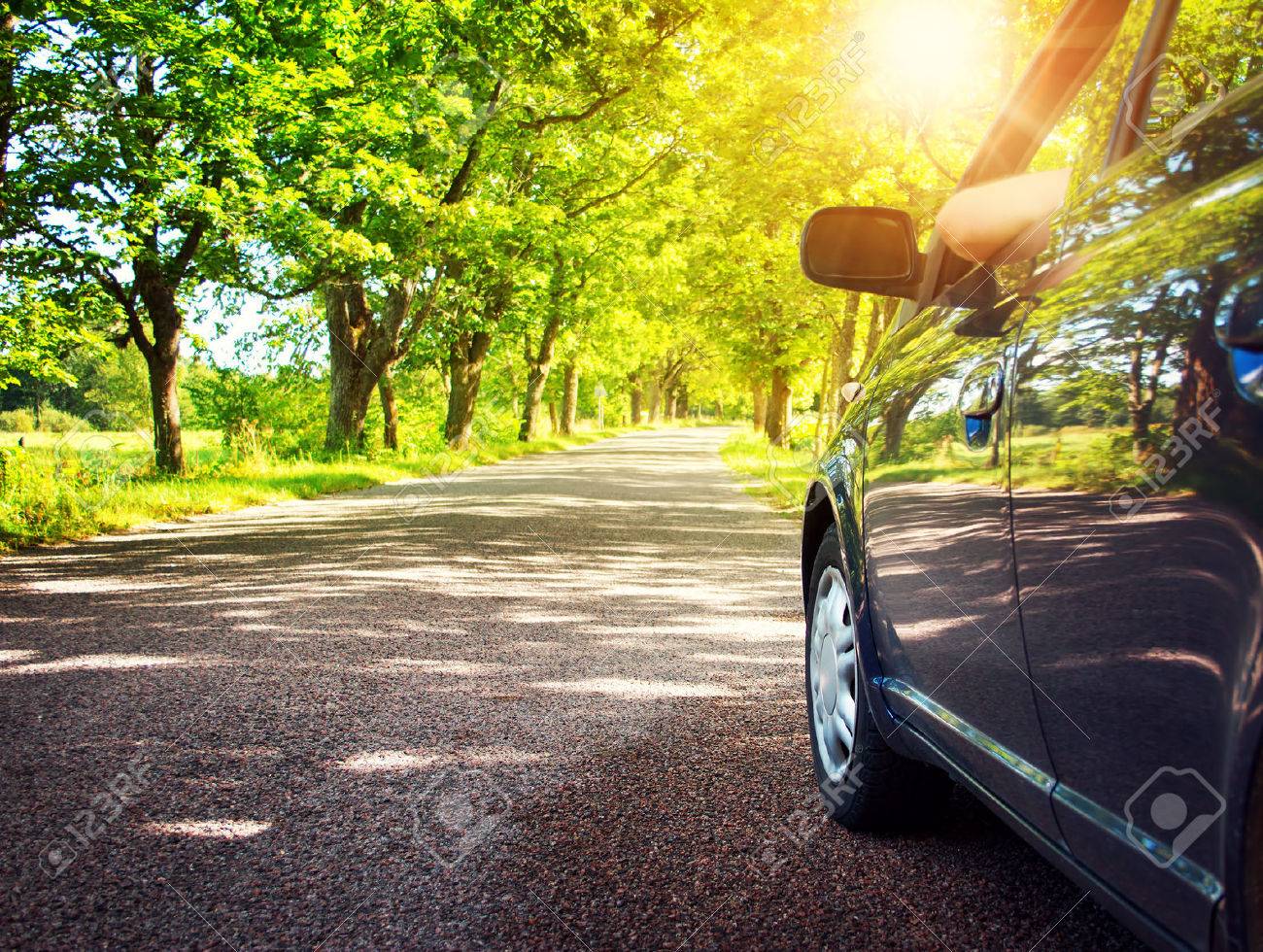 Car on asphalt road on summer day at park - 55118306 Car on asphalt road on summer day at park - 55118306
