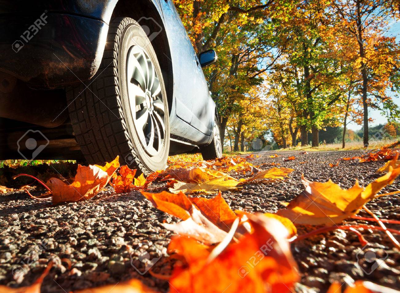 Car on asphalt road on autumnr day at park - 63437089 Car on asphalt road on autumnr day at park - 63437089