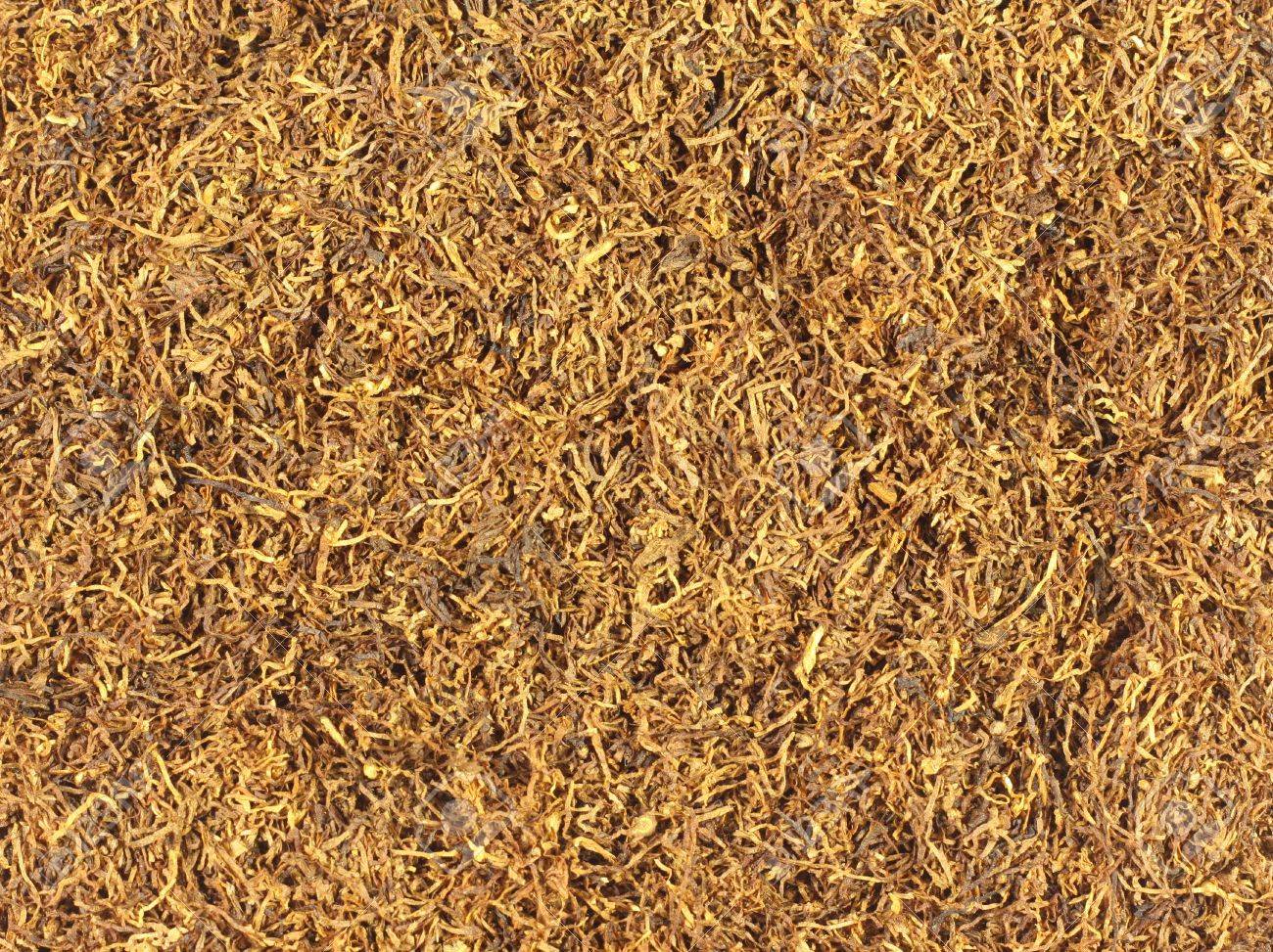 Tobacco Texture Stock Photo, Picture and Royalty Free Image. Image 2572310