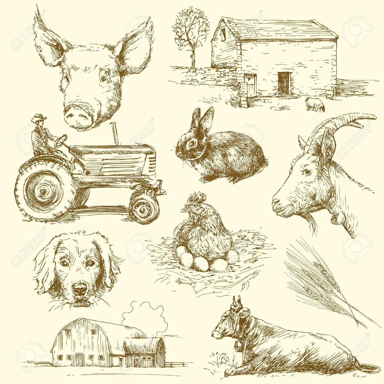 farm animals hand drawn collection royalty free cliparts vectors