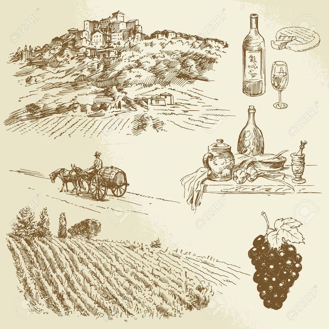 italian landscape, vineyard - hand drawn illustration - 23119279 italian landscape, vineyard - hand drawn illustration - 23119279