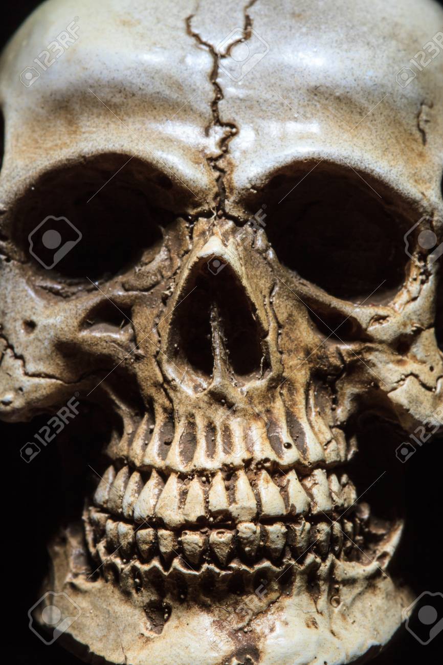 etiam-dictum-ipsum-a-felis