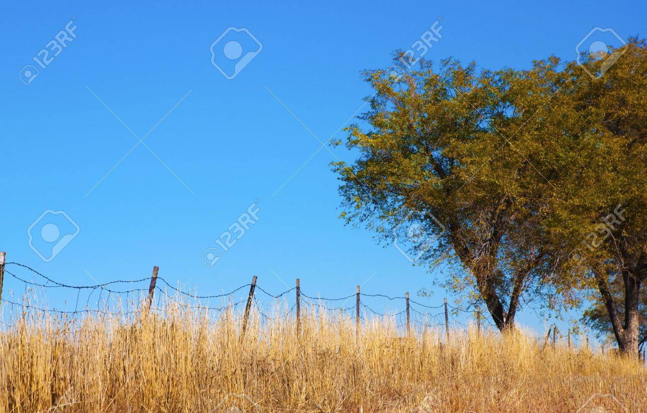 Old Barbed Wire Fence Old Barbed Wire Fence