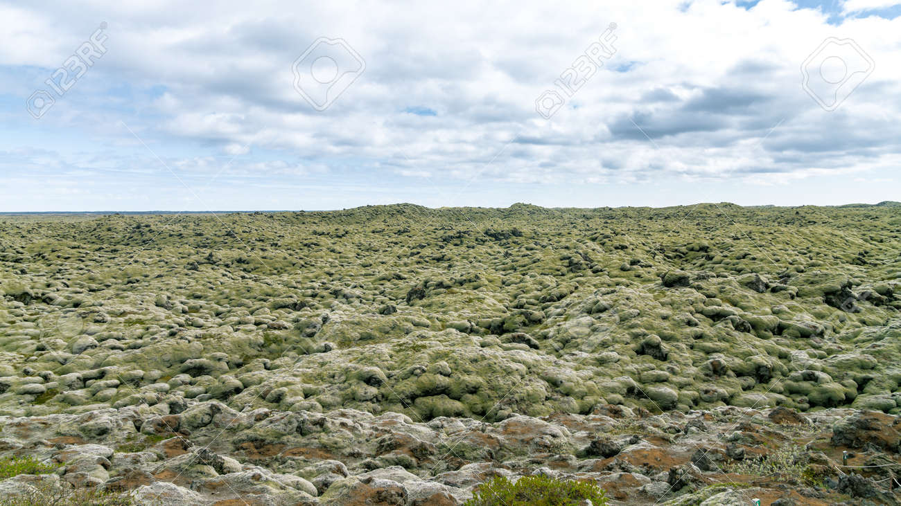Moss covered lava fields, also known as green lava in Skaftareldahraun, Iceland - 164386283 Moss covered lava fields, also known as green lava in Skaftareldahraun, Iceland - 164386283