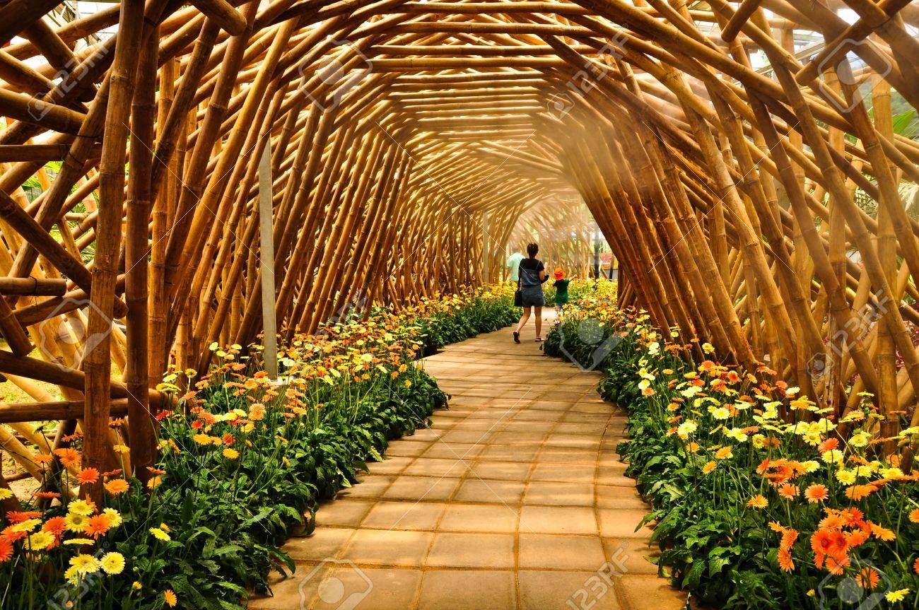 花と木のアーチ の写真素材 画像素材 Image