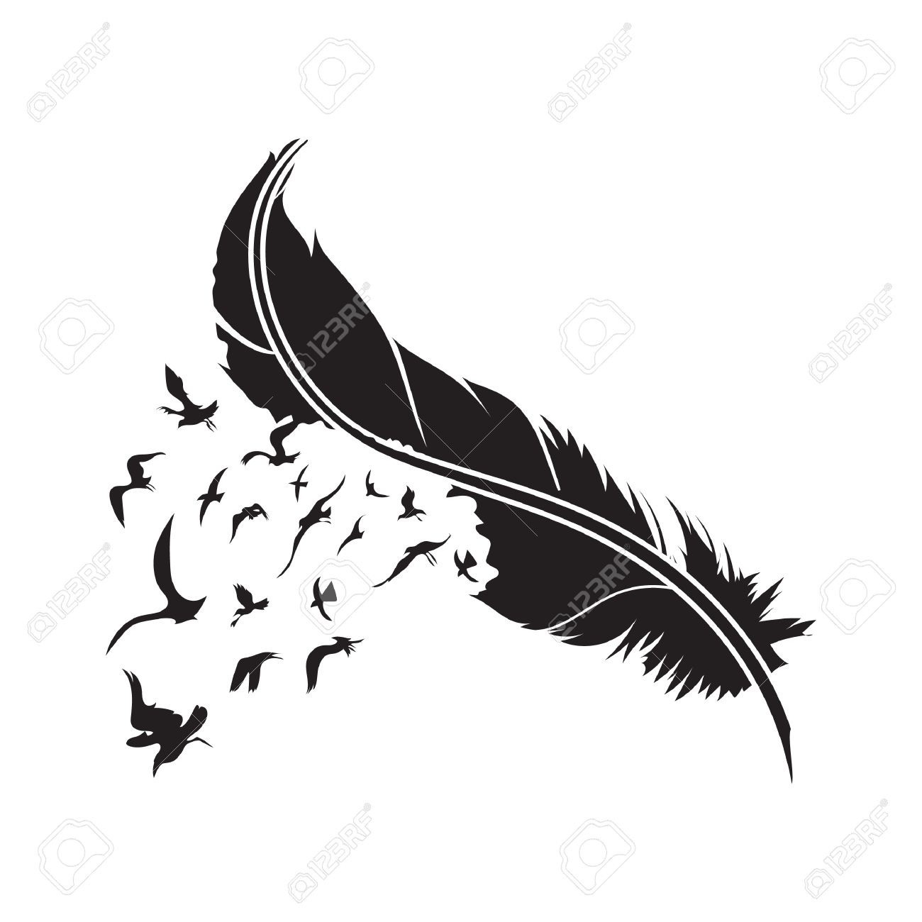 Oiseau De Plume Dessinant Lensemble De ñattern ðeathers