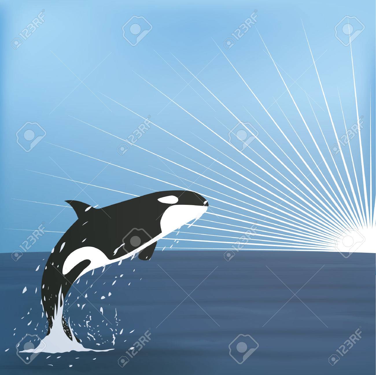 シャチと海の生き物 原画一点ものイラスト A5サイズ