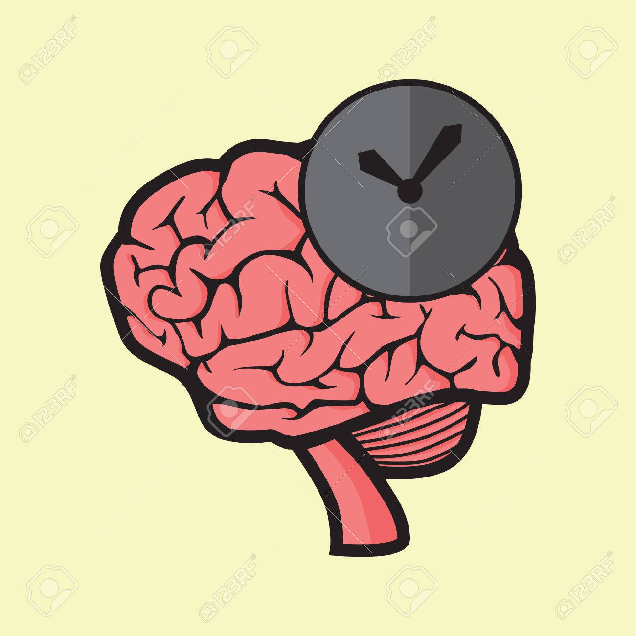 Ritmo Biologico El Reloj Del Cuerpo Humano Reloj 2025 Delicate