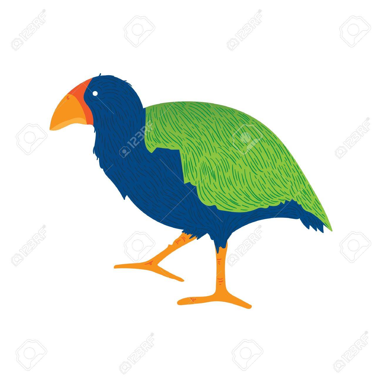 タカヘのイラスト素材 ベクタ Image タカヘのイラスト素材 ベクタ Image