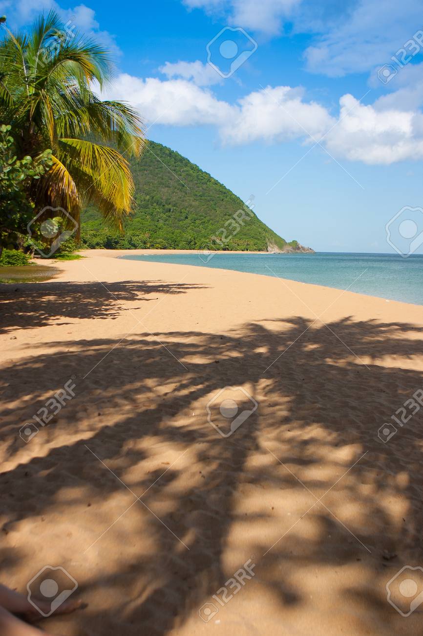 Plage De Grande Anse Deshaies Guadeloupe île