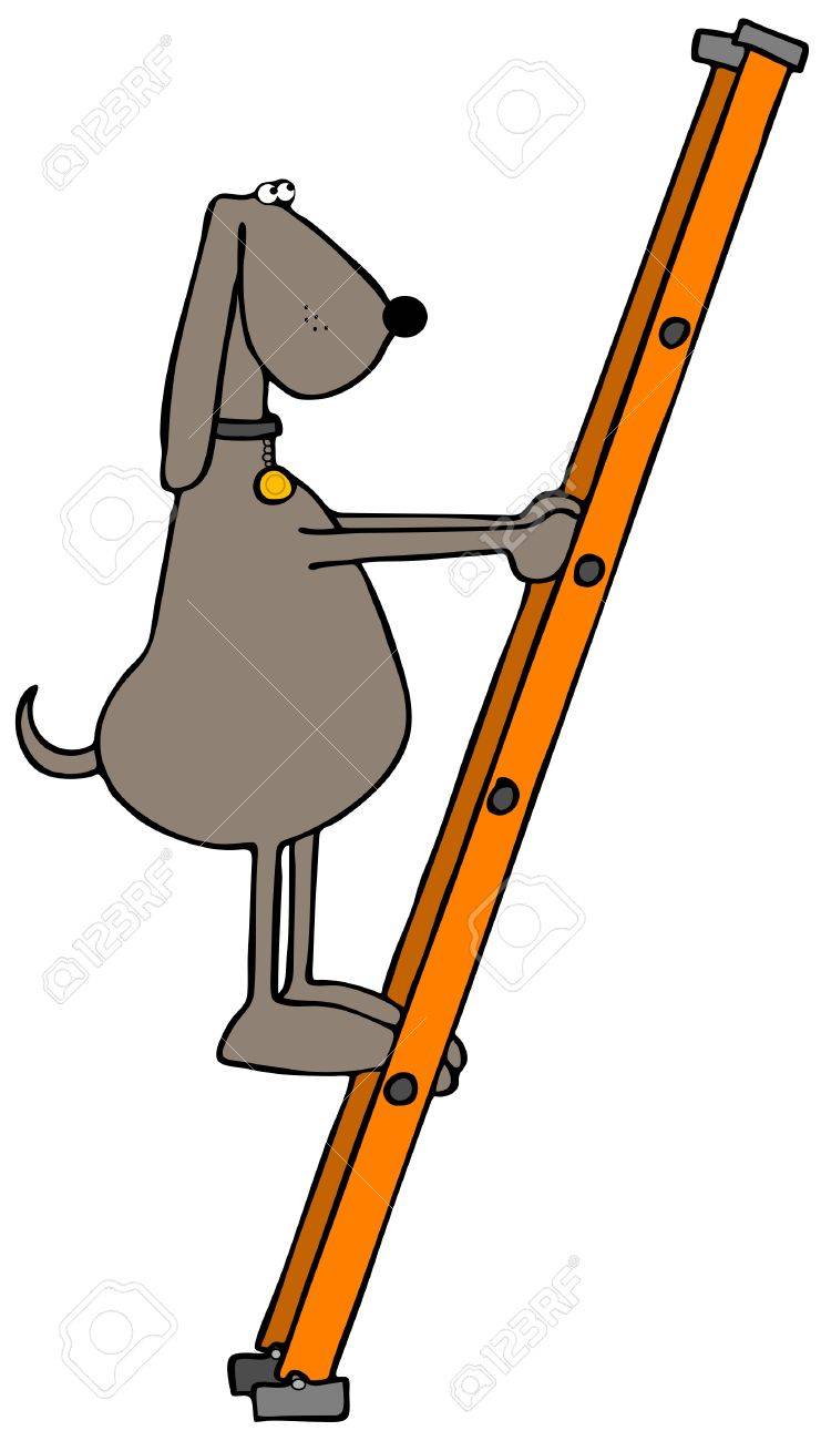 Dog Climbing A Ladder Stock Photo Picture And Royalty Free Image Image 56849881