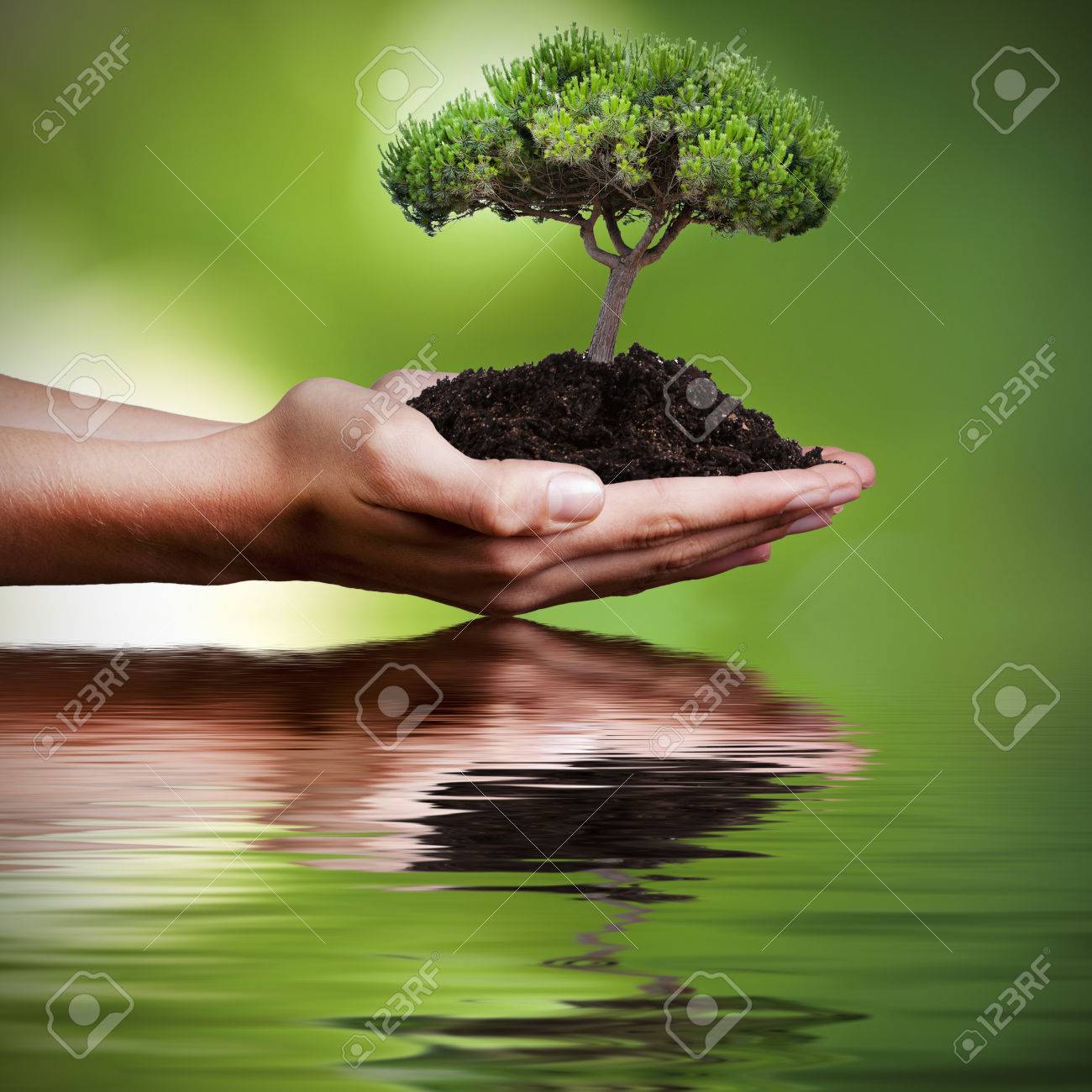tree in hands with reflection in water - 54967946 tree in hands with reflection in water - 54967946