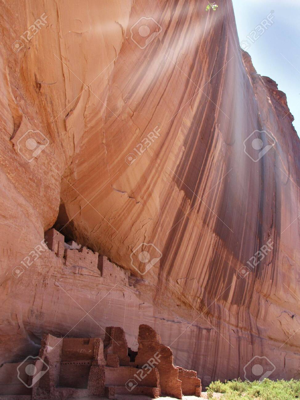 etiam-dictum-ipsum-a-felis