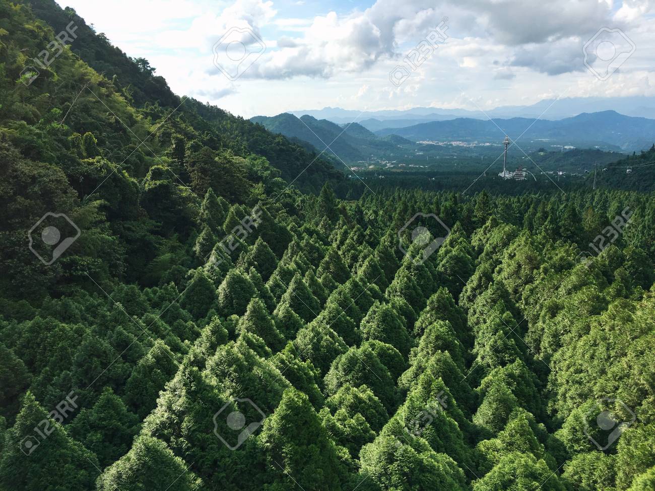 etiam-dictum-ipsum-a-felis