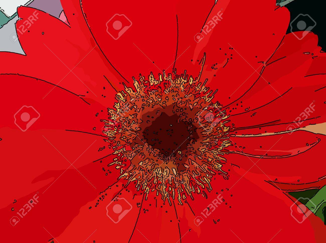 ガーベラの花 赤 ガーベラは アジアとアフリカ原産のデイジーファミリーの植物で 明るい色の大きな花があります の写真素材 画像素材 Image