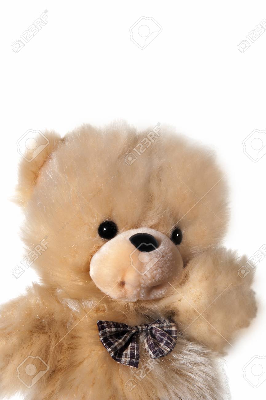 白地に小さなぬいぐるみ の写真素材 画像素材 Image